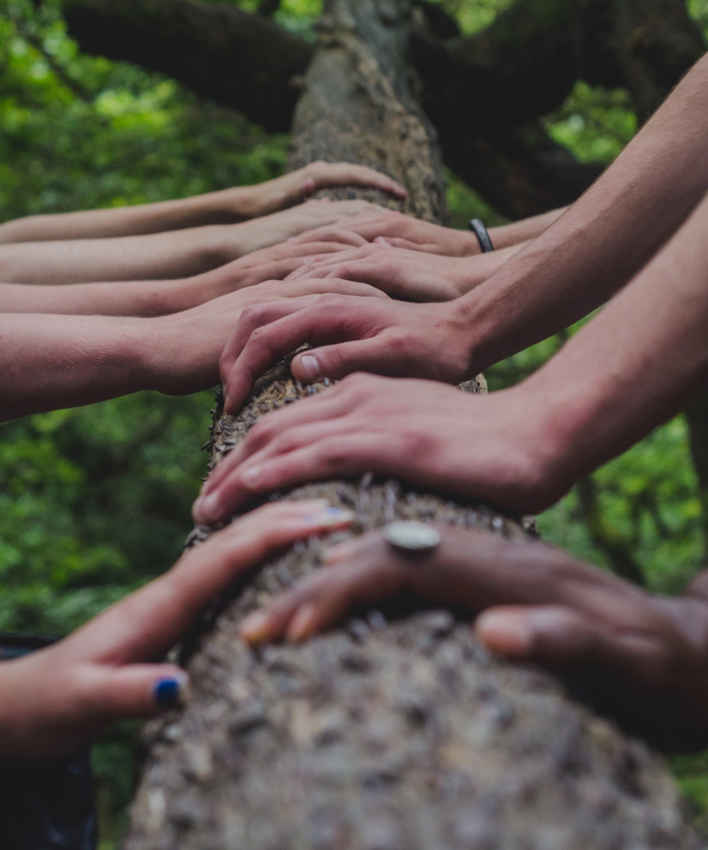 We Build Harmonious And Productive Groups