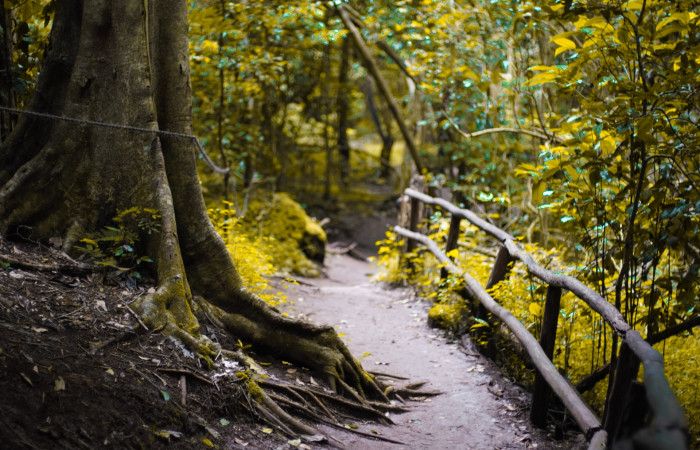 Hiking For Health II